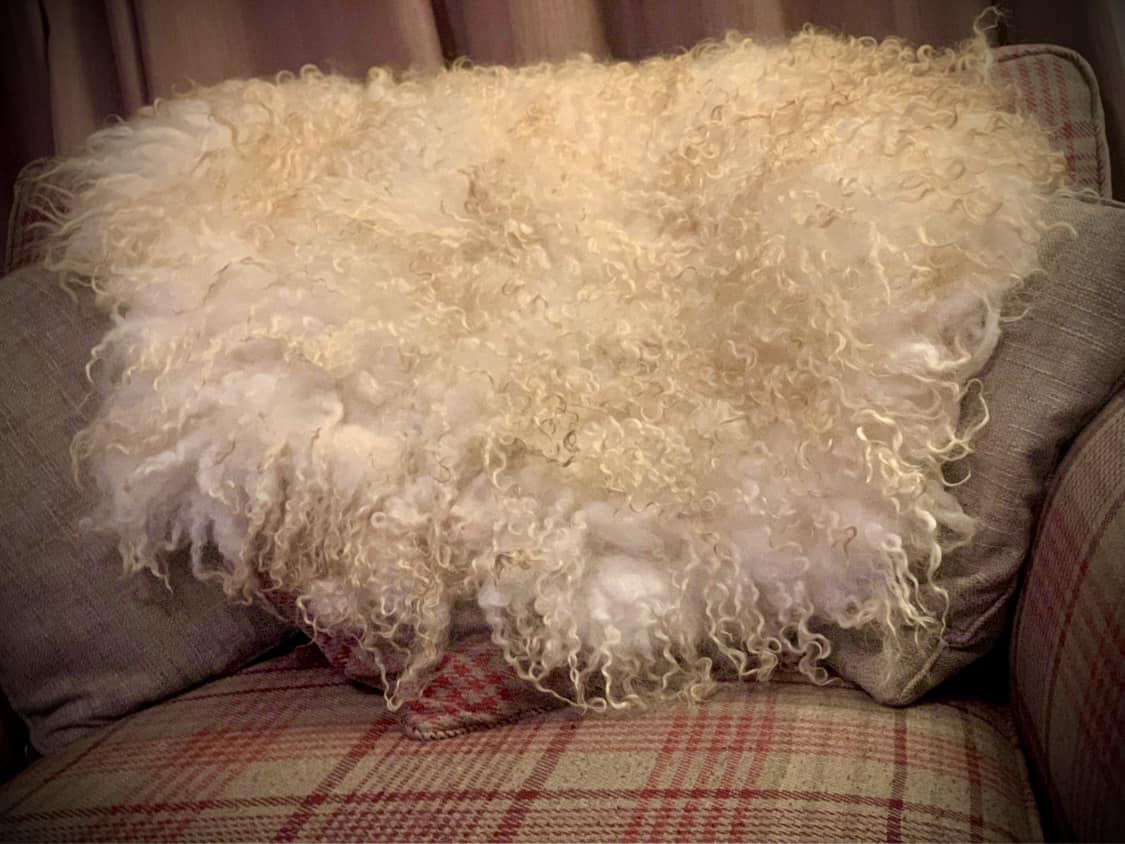 Felted Rugs